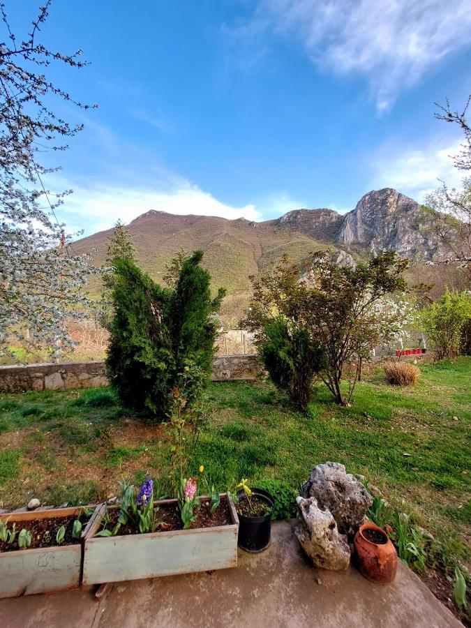 Incredible Apartment With A Mountain View - Matka Skopje Extérieur photo